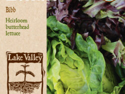 Lettuce, Bibb Organic