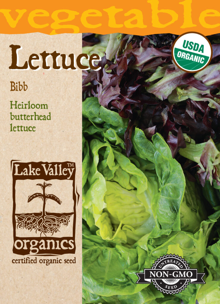 Lettuce, Bibb Organic A+ Garden Center Duluth, Minnesota Plants