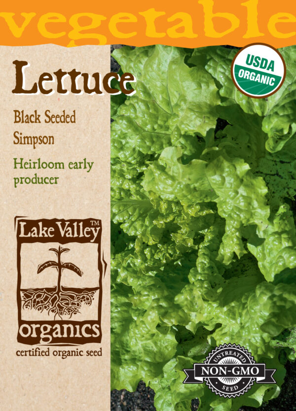 Lettuce, Black Seeded Simpson Organic