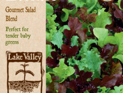 Lettuce, Gourmet Salad Blend Organic