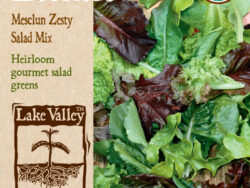 Lettuce, Mesclun Zesty Salad Mix Organic