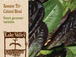 Lettuce, Romaine Tri-Colored Blend Organic