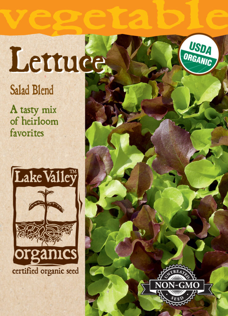 Lettuce, Salad Blend Organic A+ Garden Center Duluth, Minnesota
