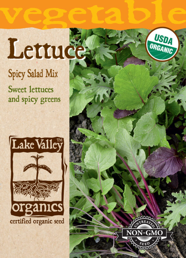 Lettuce, Spicy Salad Mix Organic