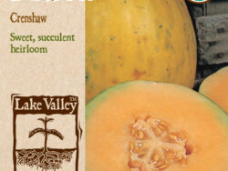 Melon, Crenshaw Organic