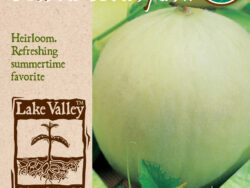 Melon, Honeydew Organic