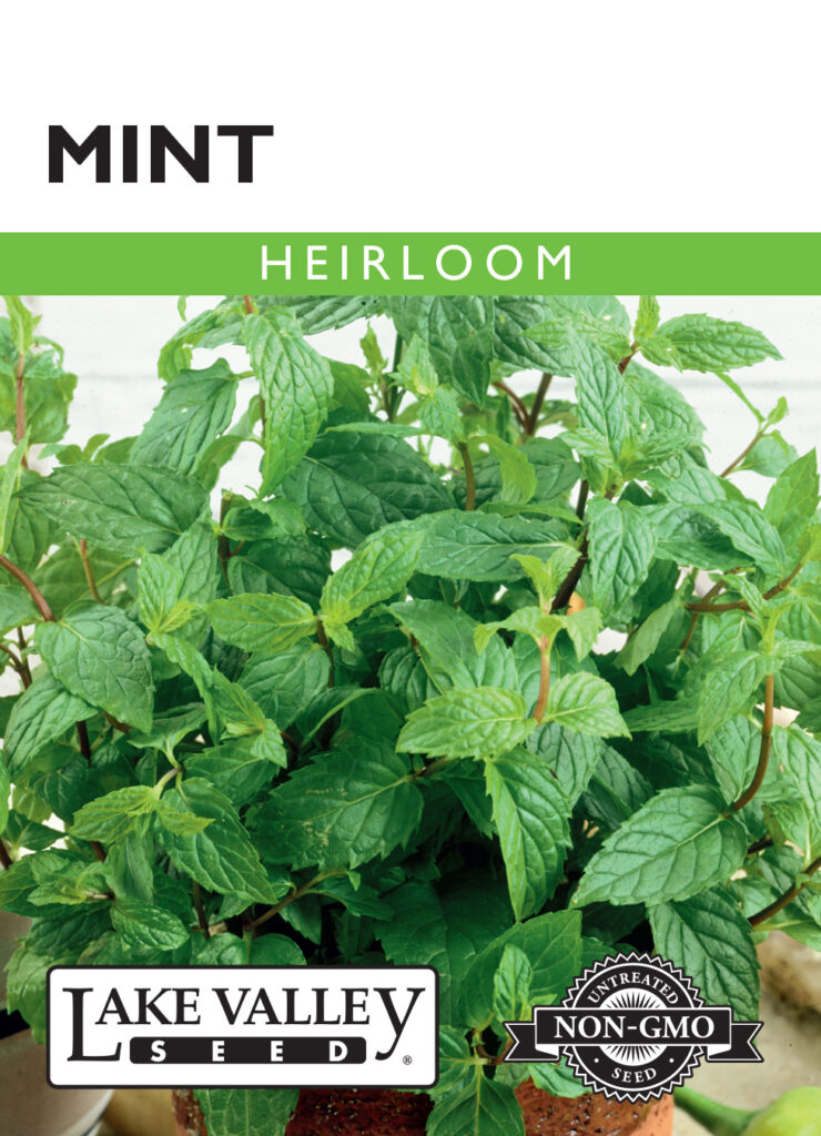 Mint, Heirloom A+ Garden Center Duluth, Minnesota Plants, Trees