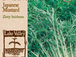 Mizuna, Mustard Greens Japanese Mustard Organic