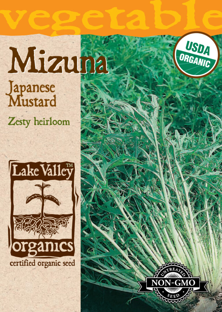 Mizuna, Mustard Greens Japanese Mustard Organic A+ Garden Center
