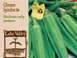 Okra, Clemson Spineless Organic