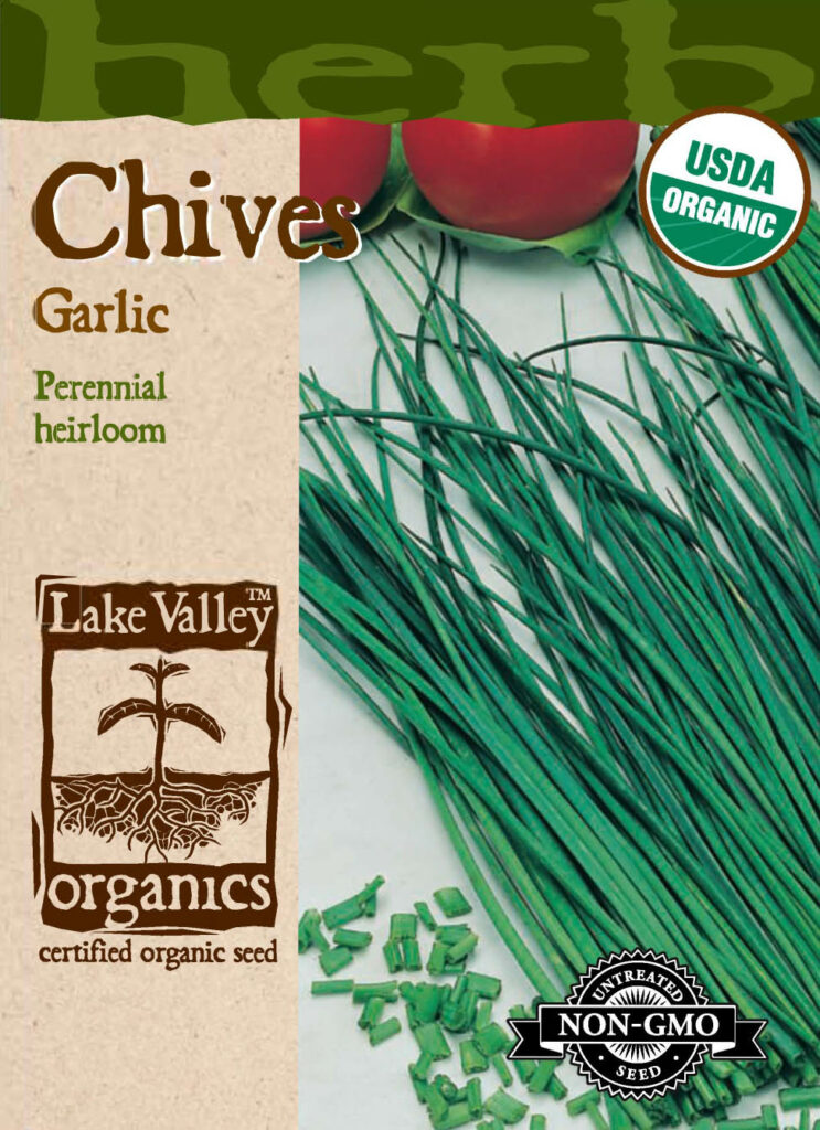 Chives, Garlic Organic A+ Garden Center Duluth, Minnesota Plants