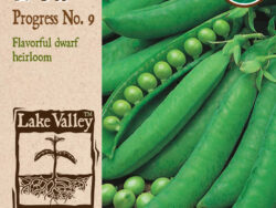 Pea, Bush Progress NO. 9 Organic