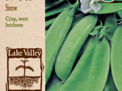 Pea, Bush Snow Organic