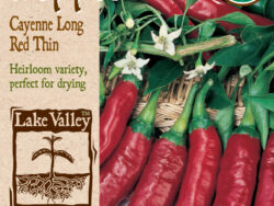 Pepper, Hot Cayenne Long Red Thin Organic