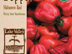 Pepper, Hot Habanero Red Organic