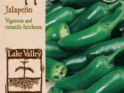 Pepper, Hot Jalapeño Early Organic