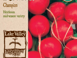 Raddish, Champion Organic