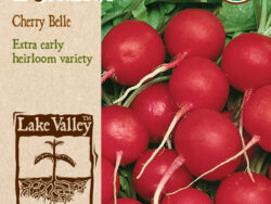 Radish, Cherry Belle Organic