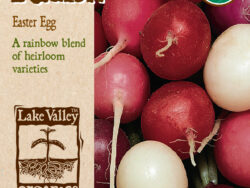 Radish, Easter Egg Blend Organic