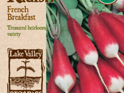 Bean, Bush French Garden Organic