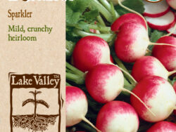 Radish, Sparkler Organic