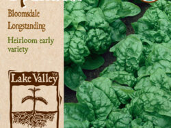 Spinach, Bloomsdale Longstanding Organic