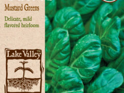 Tatsoi, Mustard Green Organic