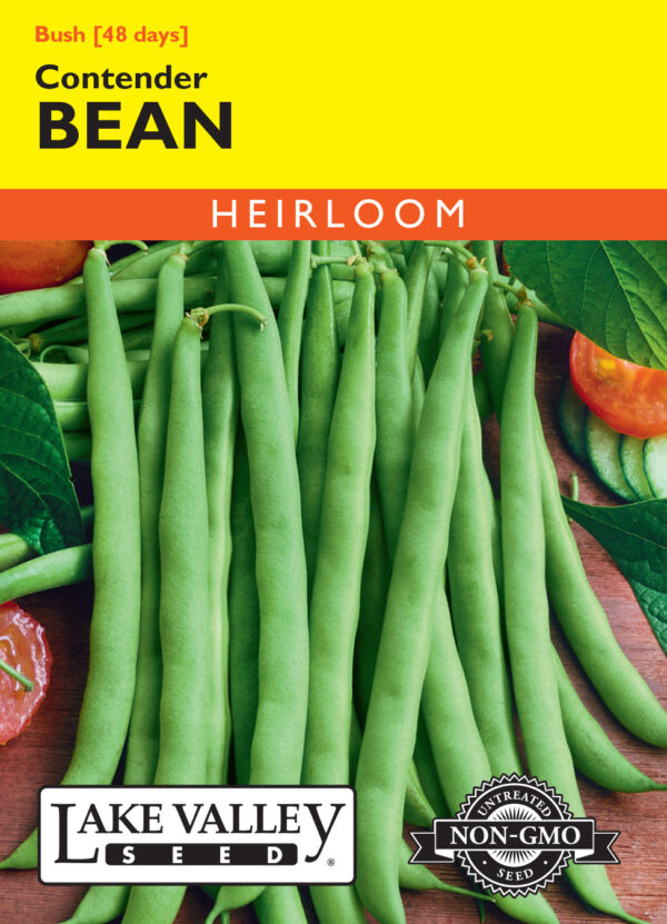 Bean, Bush Contender