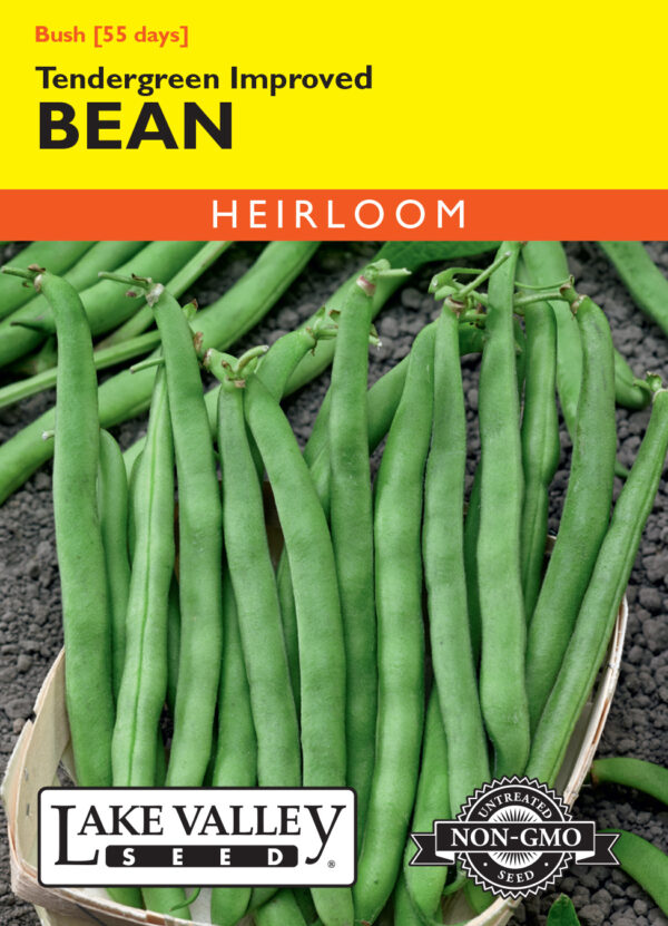 Bean, Tendergreen Improved
