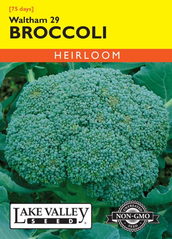 Broccoli, Waltham 29