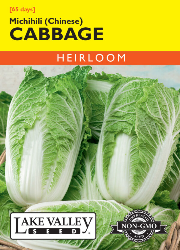 Cabbage, Michihili (Chinese)
