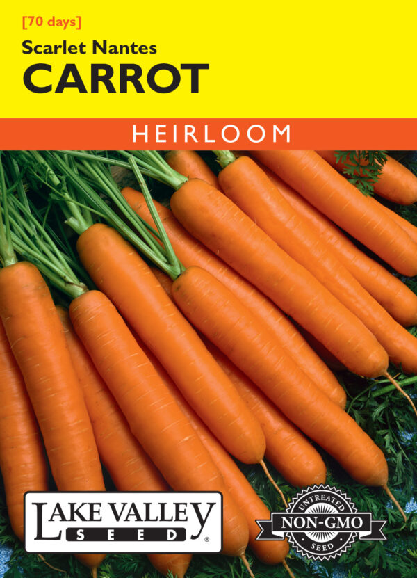 Carrot, Scarlet Nantes