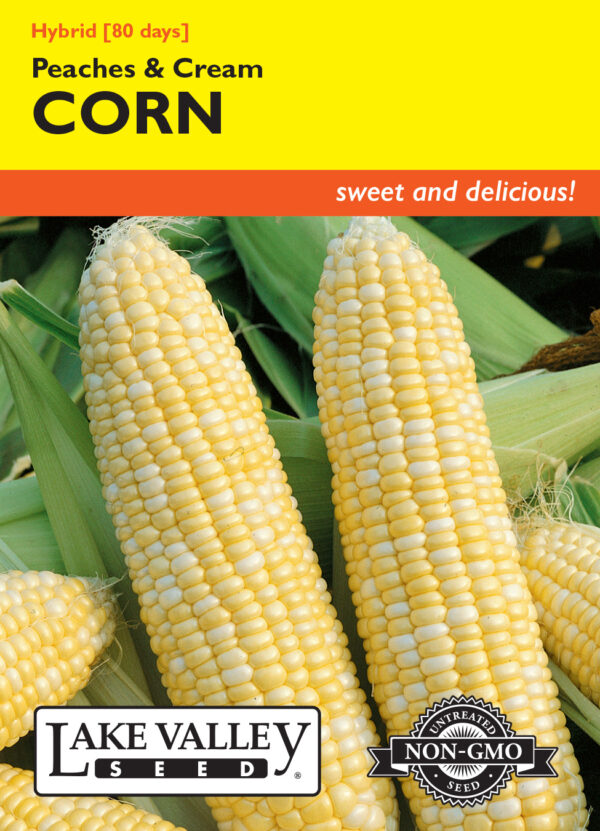 Corm, Peaches and Cream