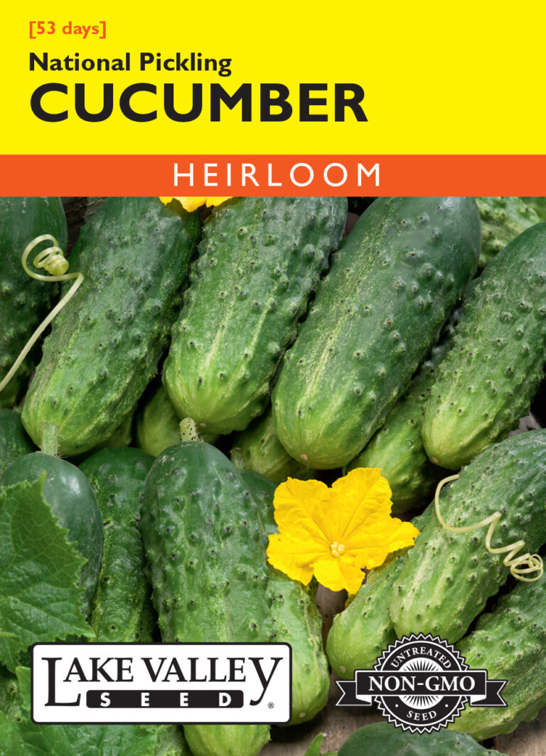 Cucumber, National Pickling A+ Garden Center Duluth, Minnesota