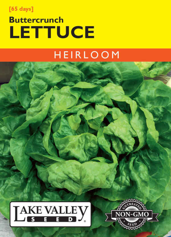 Lettuce, Buttercrunch
