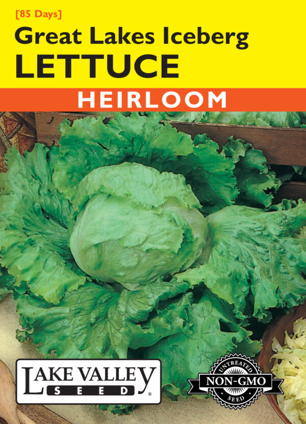 Lettuce, Great Lakes Iceberg