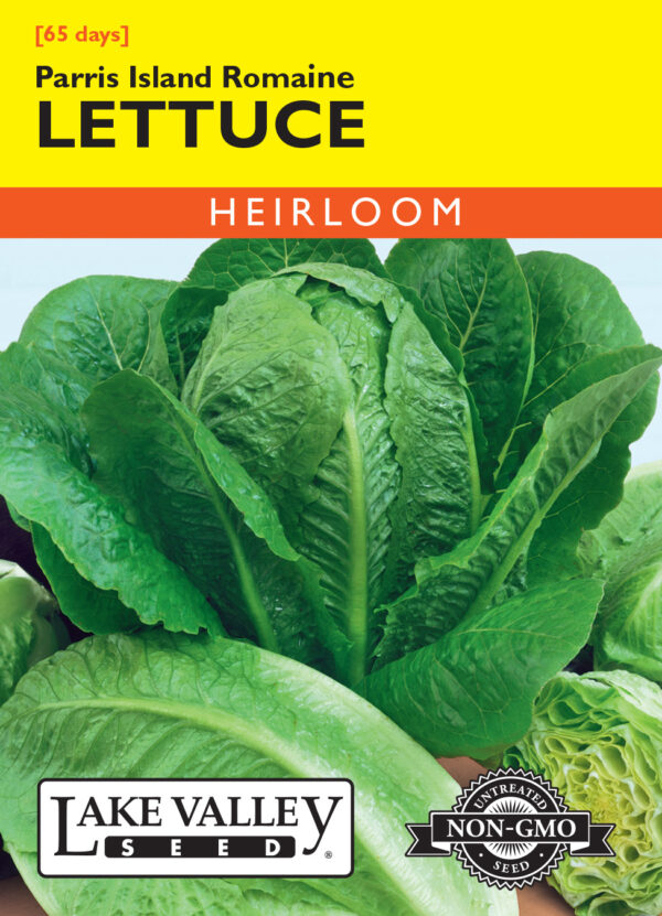 Lettuce, Romaine Parris Island