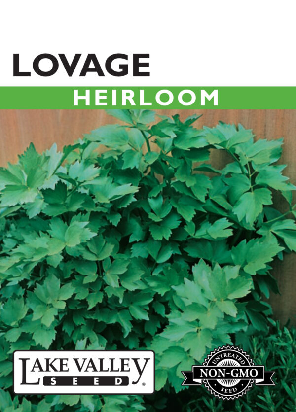 Lovage, Heirloom