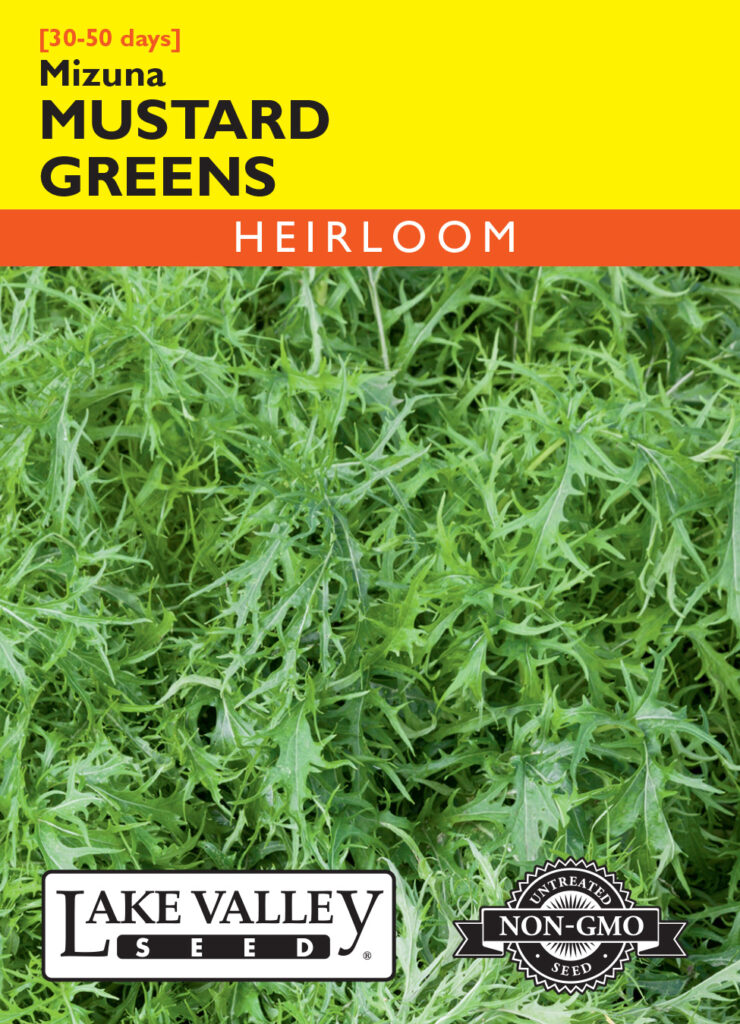Mustard Greens, Mizuna A+ Garden Center Duluth, Minnesota Plants