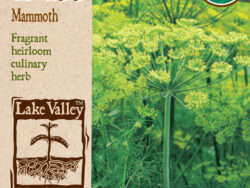 Dill, Mammoth Organic