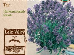 Lavender, True Organic