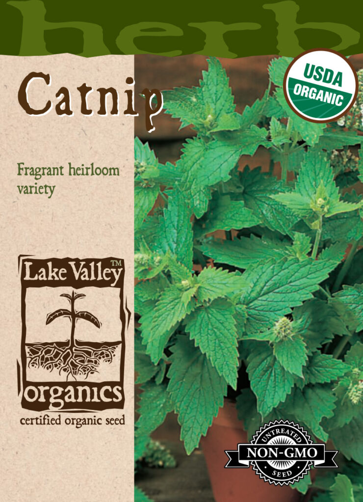 Catnip, Organic - A+ Garden Center | Duluth, Minnesota | Plants, Trees ...