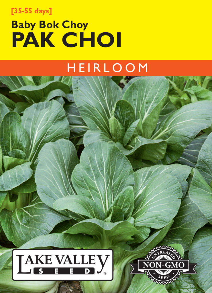 Choi Tree Pak Choi, Baby Bok Choy - A+ Garden Center | Duluth, Minnesota | Plants ...