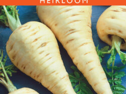 Parsnip, Hollow Crown