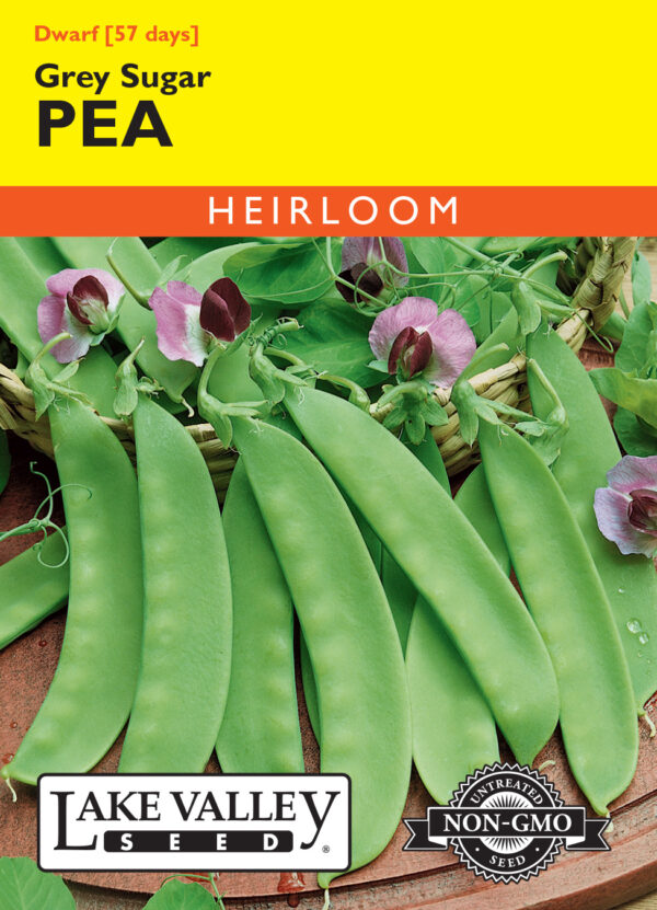 Pea, Dwarf Grey Sugar