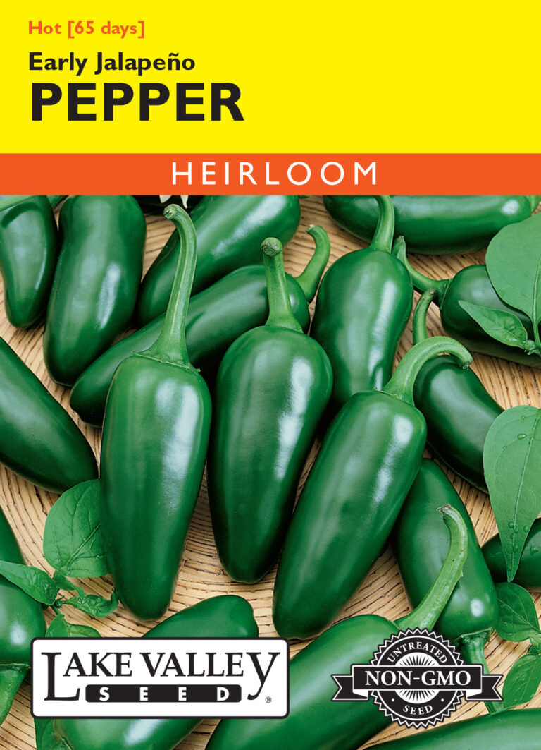 Pepper, Hot Jalapeño A+ Garden Center Duluth, Minnesota Plants