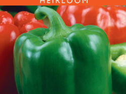 Pepper, Sweet California Wonder Green Bell