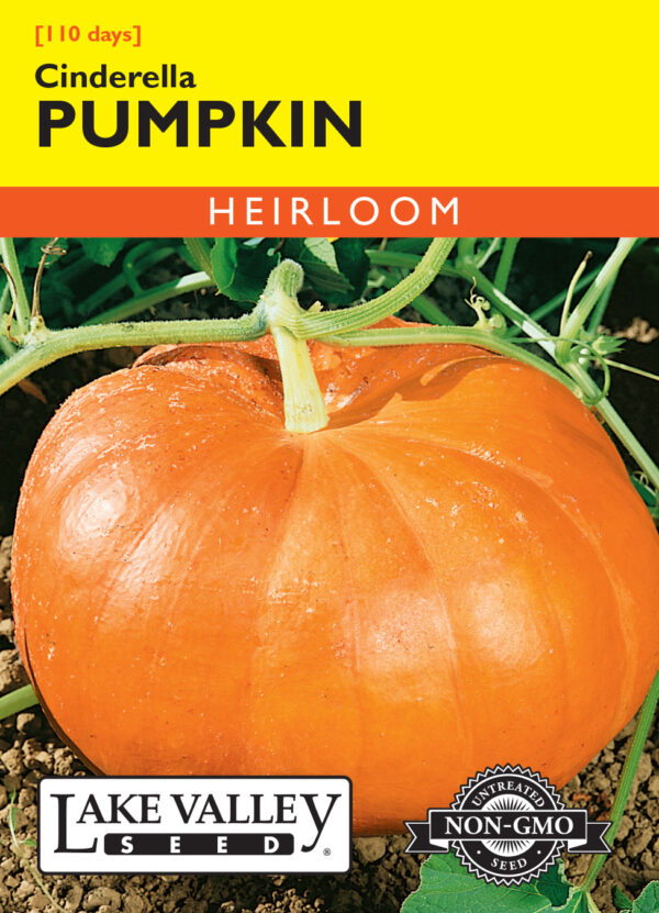 Pumpkin, Cinderella