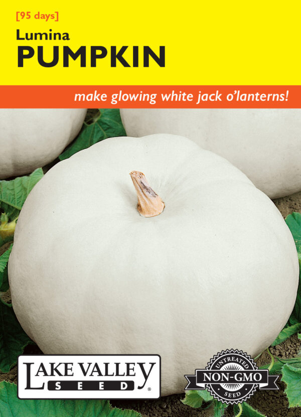 Pumpkin, Lumina
