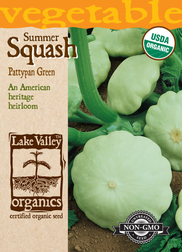 Squach, Pattypan Green (summer) Organic